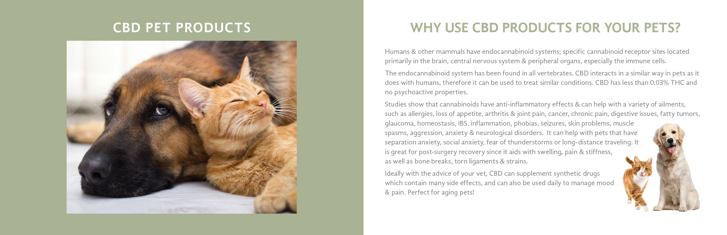 Hemp Cbd Oil for Pets in White Rock BC